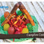 Camping Time Cookbook